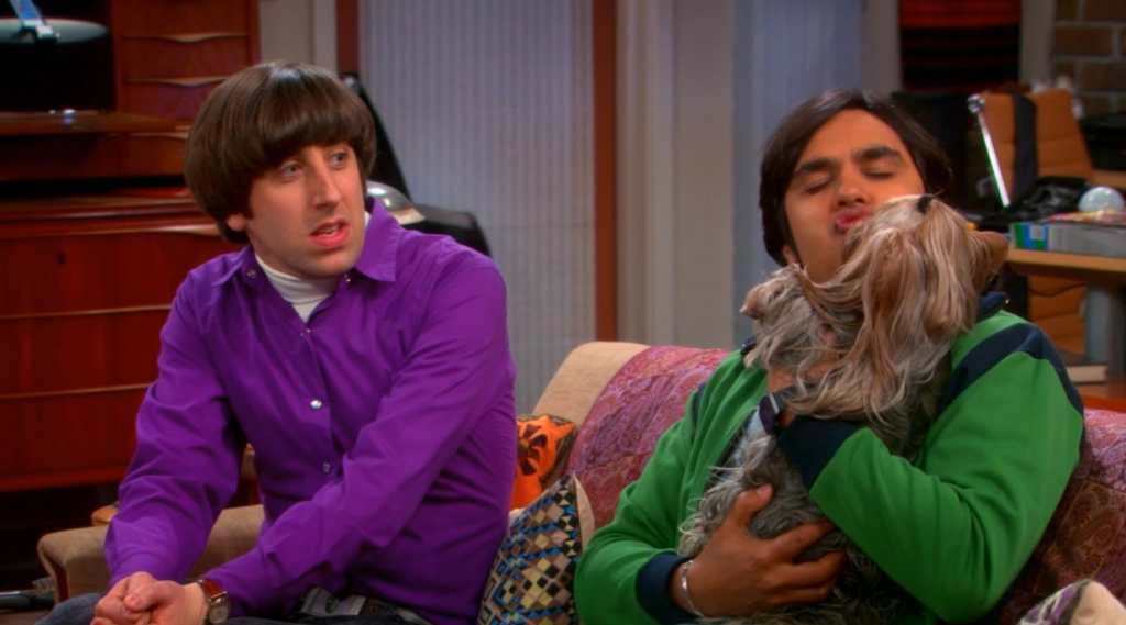 The Big Bang Theory Saison 6 Review : The Big Bang Theory Saison 6 Épisode 21 - The Closure