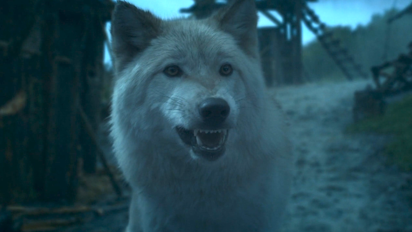 Nom Des Loup Dans Game Of Thrones Game Of Thrones S03E09 : L'Amour D'Une Mère - YZGeneration