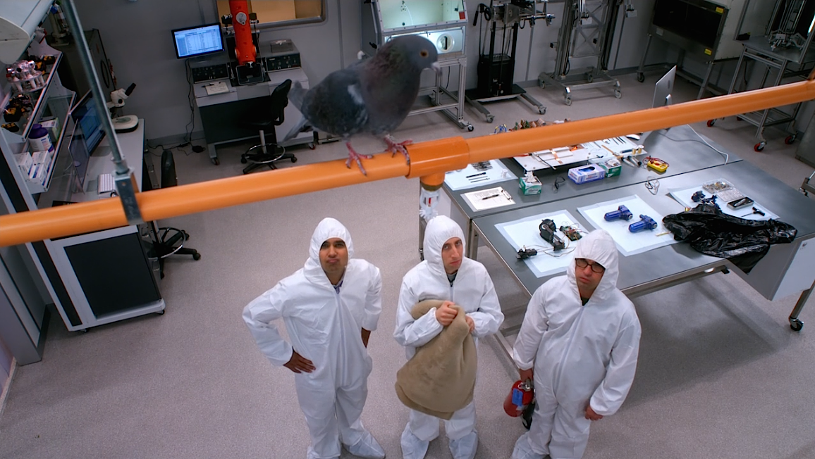 Review : The Big Bang Theory Saison 8 Épisode 11 - The Clean Room