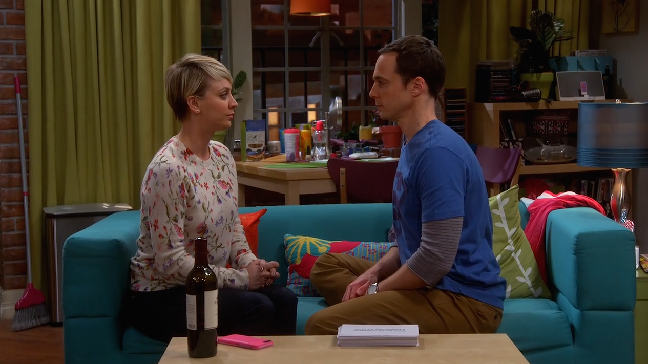 The Big Bang Theory Saison 8 Review : The Big Bang Theory Saison 8 Épisode 16 - The Intimacy