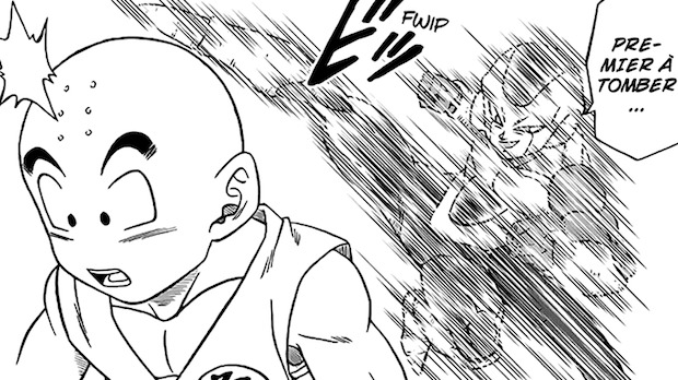 Krilin et Tenshinhan