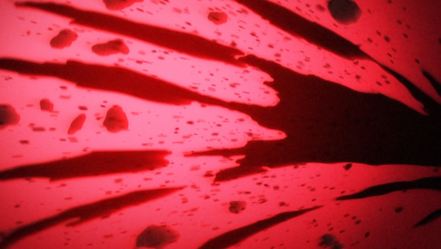 Golden Wind Épisode 18 : L’Ordre Final - YZGeneration